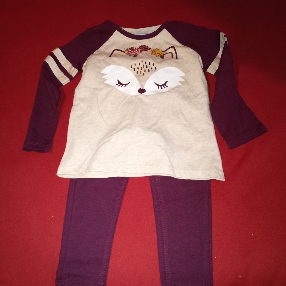 2 piece Garanimals outfit
